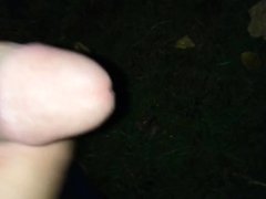 Night outdoor solo mastrubation on a bank with cumshot