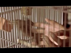 Celebrity Sex Scene- Halle Berry takes on Billy Bob