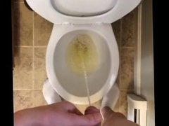 Morning Piss  Tuesday, April 18th, 2017