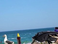 Sexy Ass Thong Bikini Beach Girls Voyeur Video HD