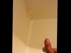 Hotel Shower Piss