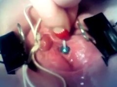 Female urethral sound