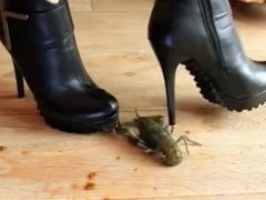 food and crayfish crush in ankle boots