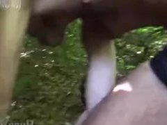 Sucking BIG DICKS at the park