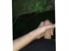 Guy jerks off in the woods (complication)