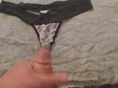 Cumming on my wife's panties