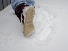 Clean my Sneakers from the Snow