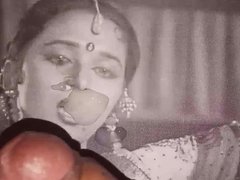 Madhuri dixit cum tribute