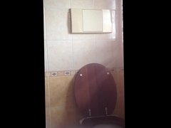 Hidden toilet cam
