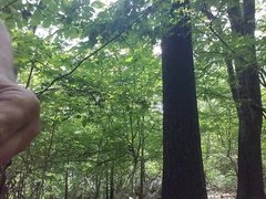Jerking off naked in woods 2018