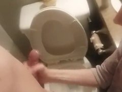 Hand Job in toilet