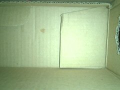 Masturbation whit box