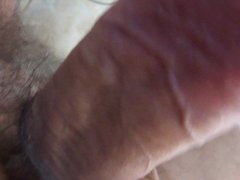 Mature cock, very hard and very greedy