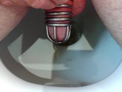 Cock cage toilet slow motion