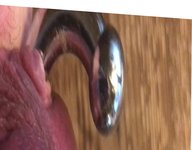 Massive Prince Albert Piercing - Playing with My Cock