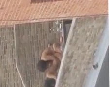 Strapon dykes caught fucking on a terrace